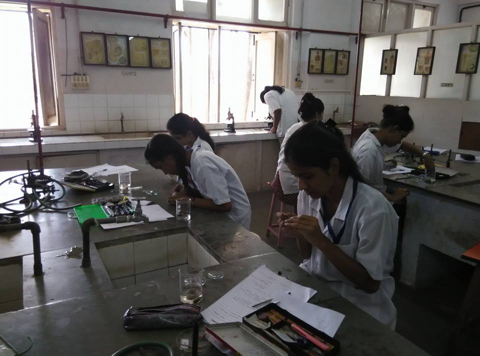 Pharmacognosy Lab